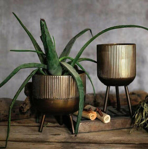 Aphrodite Footed Planter | Bright & Plus.