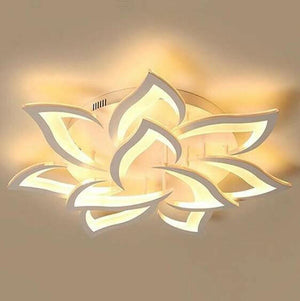 Rose Light | Bright & Plus.