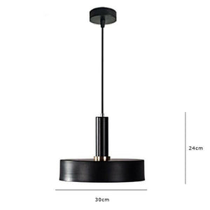 Rowan - Colored Pendant Lights