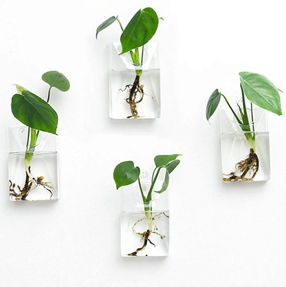 Set of 4 Wall Mountable Planters | Bright & Plus.