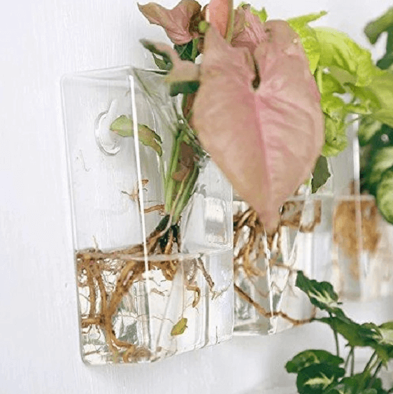 Set of 4 Wall Mountable Planters | Bright & Plus.