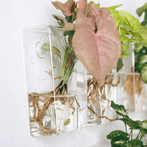 Set of 4 Wall Mountable Planters | Bright & Plus.