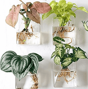 Set of 4 Wall Mountable Planters | Bright & Plus.