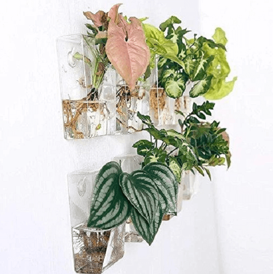 Set of 4 Wall Mountable Planters | Bright & Plus.