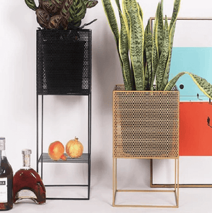 Zane - Modern Nordic Iron Mesh Planter Box | Bright & Plus.