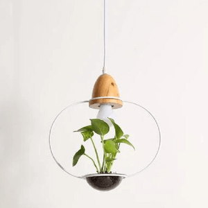 Zox - Modern Nordic Iron Pendant Planter Lamp | Bright & Plus.